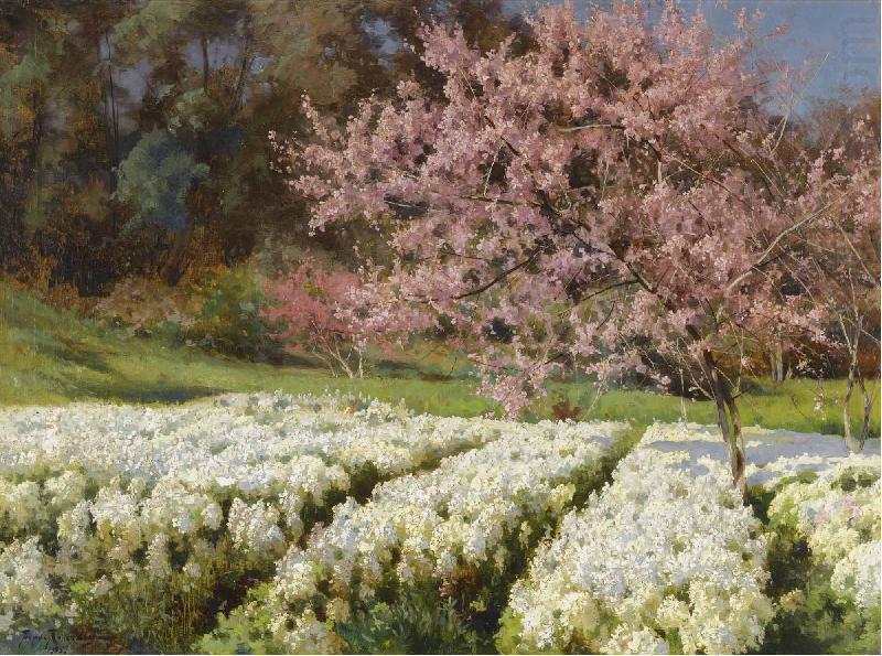 Antonio Mancini Spring blossom china oil painting image